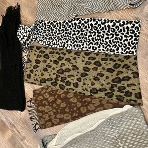 Bundle of 5 Scarves